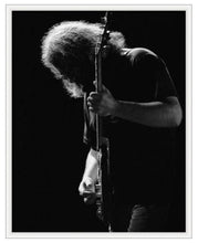 Grateful Dead - Jerry Willow - Poster